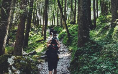 Escursioni e Sentieri nelle Marche: I Percorsi Imperdibili