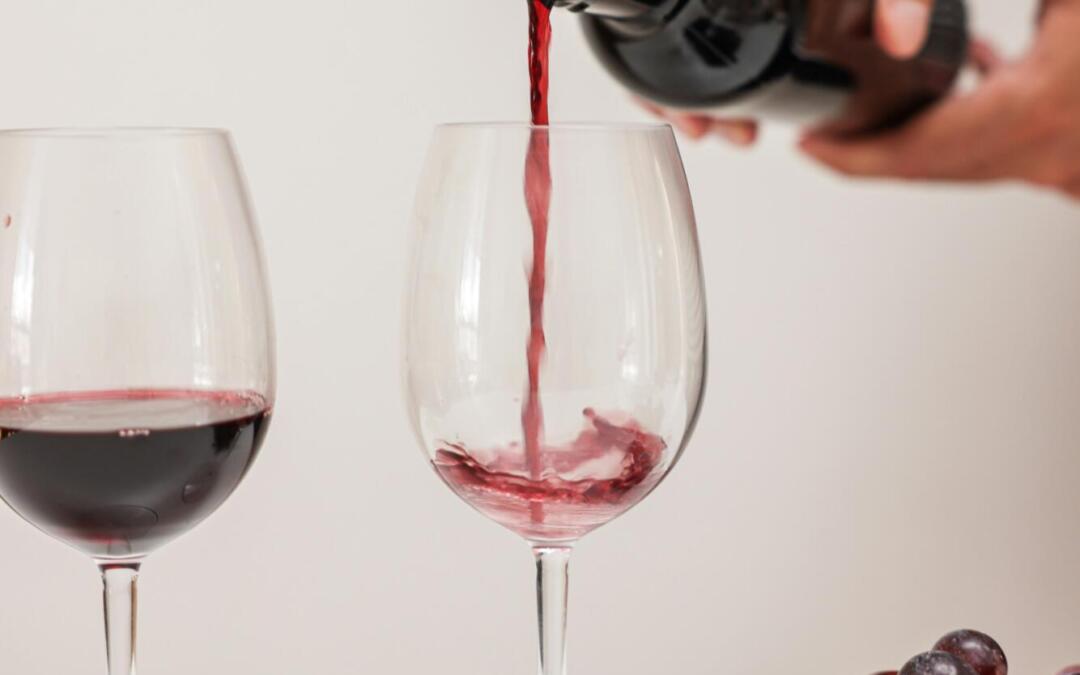 Cantine e Vini delle Marche: Un Tour tra Verdicchio e Rosso Conero